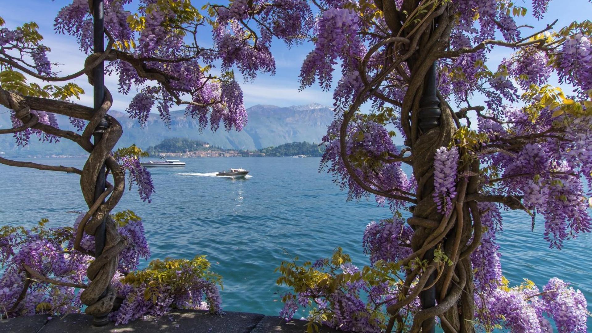 Villa Aurelia プレージオ エクステリア 写真